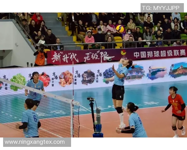排球热点：解读深圳排球队的控制
